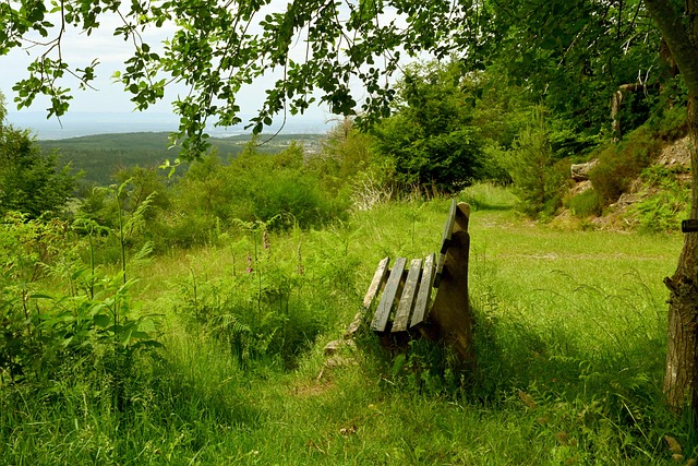 不得不接受 不得不接受